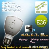Rechargeable Led bulb