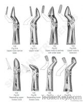Dental Extracting Forceps