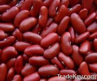 Dark red kidney beans (2012 Crop)