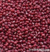 Small red beans (2010 Crop)