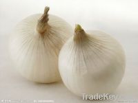 fresh garlic