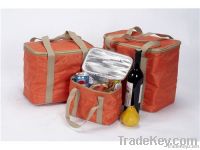 picnic cooler bag