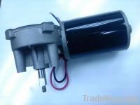 Warm Gear Motor 