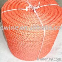 PE rope