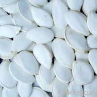 2011 Snow White Pumpkin Seeds