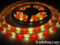 RGBW SMD 5050 LED STIRP