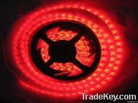 DC12V, 36/72W SMD 5050 LED STRIP