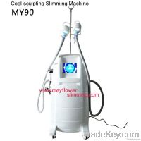 Cryo Theropy Slimming Machine(MY90)