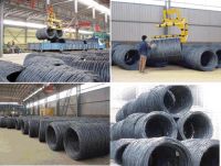 Steel Wire Rod