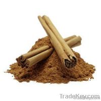 the biggest producer of Cinnamon Bark Extract  in China