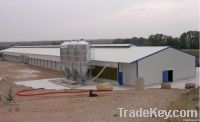 Heat insulated steel chicken house from China