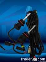 Auto HID Xenon Lamp (9004 Hi/Low)