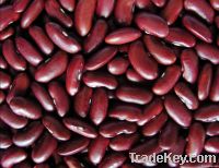 Dark Red Kidney Beans
