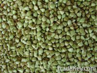 Hulled Buckwheat