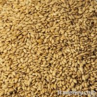 Organic Golden Flax Seeds