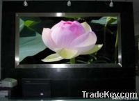 P10 indoor rgb transparent led displays