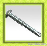 Self Drilling Screw