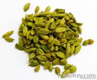 Cardamom