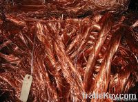 Copper Scraps Suppliers | Copper Scrap Exporters | Copper Scrap Manufacturers | Cheap Copper Scrap | Wholesale Copper Scraps | Discounted Copper Scrap | Bulk Copper Scraps | Copper Scrap Buyer | Import Copper Scrap | Copper Scrap Importers | Copper Scrap