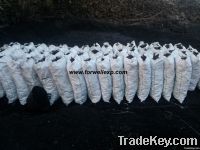 hardwood charcoal