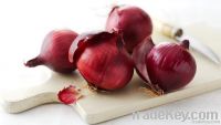 Red Onion