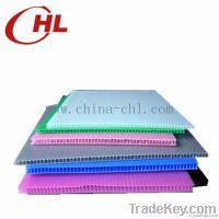 PP Hollow Sheet/Sign Board