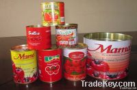 canned tomato paste/tomato ketchup with high quality and low price