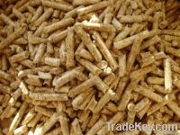 2012 Wood Pellets| Beech Wood Pellet | Oak Wood Pellets