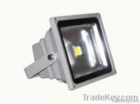 LED Flood light 30w