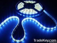 Waterproof flexible Led strip light of Epister Led Brand