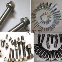 Titanium screws