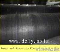 PP woven and PET non-woven composite geotextile