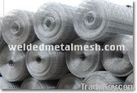 Welded Wire Mesh
