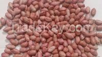 peanuts, ground nut, Indian peanuts supplier