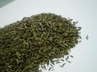 CUMIN SEED