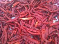 DRY RED CHILLI