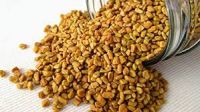 FENUGREEK SEED