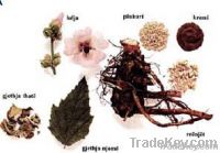 Sage (leaves, volatile oil)