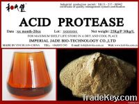 Acid  protease