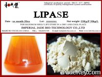 lipase