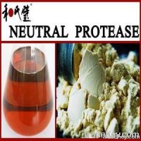 neutral protease