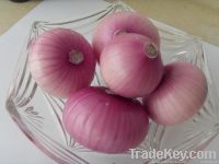 fresh  red onion