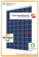 Poly 636145w solar module