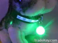 Led pet ID tag