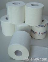 Toilet Tissue Rolls