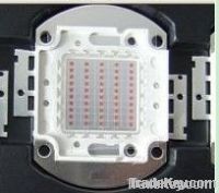 High Power LED 50W