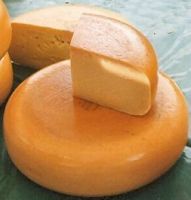 Gouda Cheese