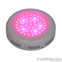 135W (45x3W)LED Grow lights(ROHS CE STC)