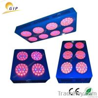 Sun flower 200W 300W 400W led grow light