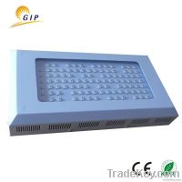 300w(100*3W) led grow light(ROHS CE STC certificate)